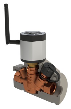 /media/crossbase/fot_pro_per_14400_sall_ainfs_v2_lj_366x382.jpg