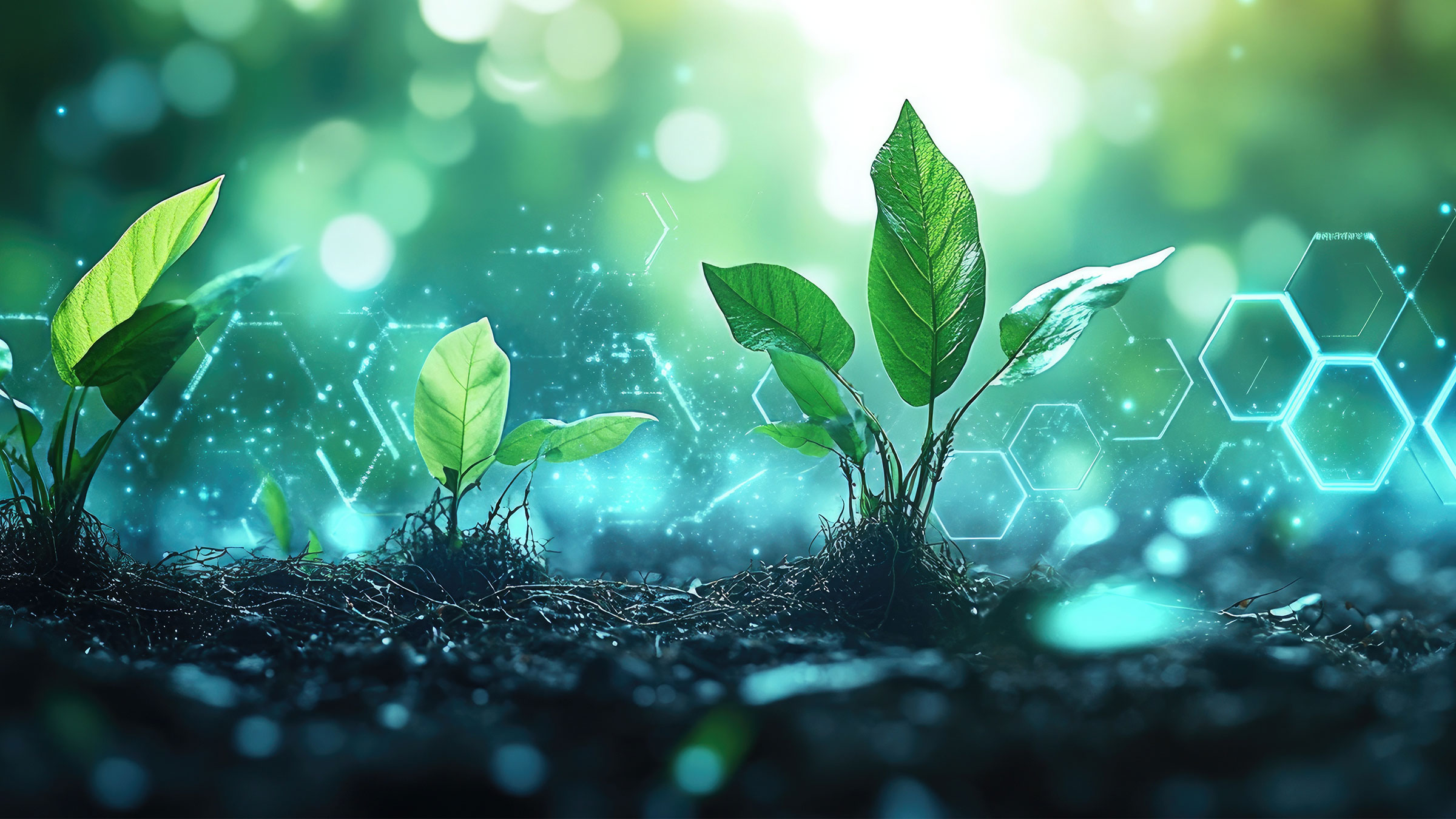 KEMPER-Tochtergesellschaft Dendrit ist carbon neutral zertifiziert